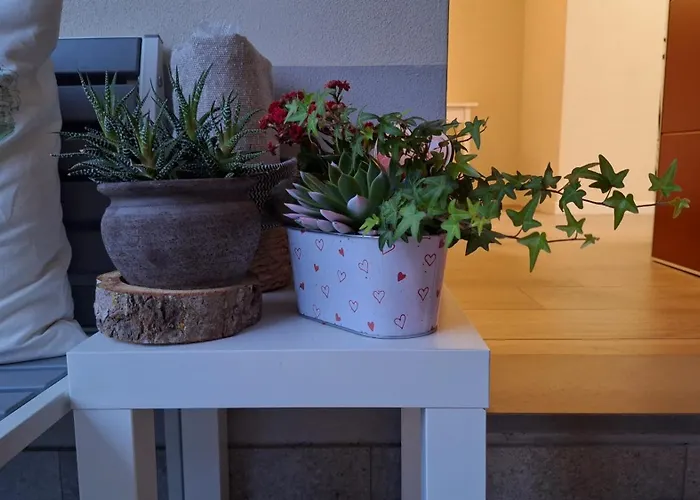 La Tana Del GecoAlbergo